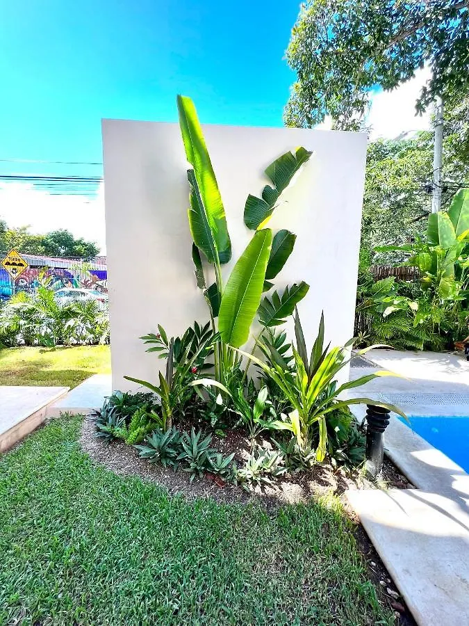 Apartmán Departamento En El Centro De Playa Del Carmen 8 Minutos Caminando A La Playa.